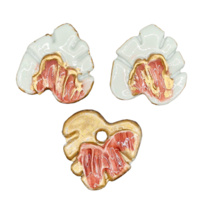 Cercei si pandativ Monstera